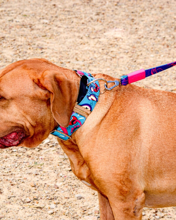 Bellcher Martingale Dog Collar Lanky - Image 2