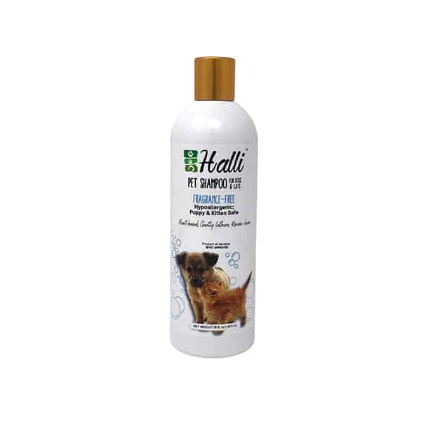 Citrus Shampoo 16oz