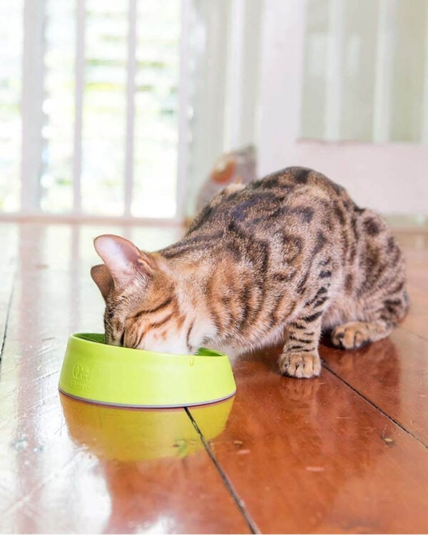 Oh Bowl! Oral Health Cat Bowl - Image 5
