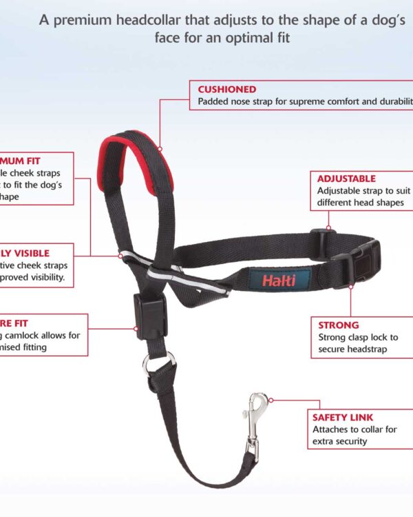 Optifit Training Headcollar Sm/Md/Lg - Image 2