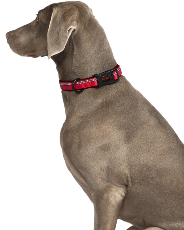 Comfort Collar Medium 12-23in - Image 2