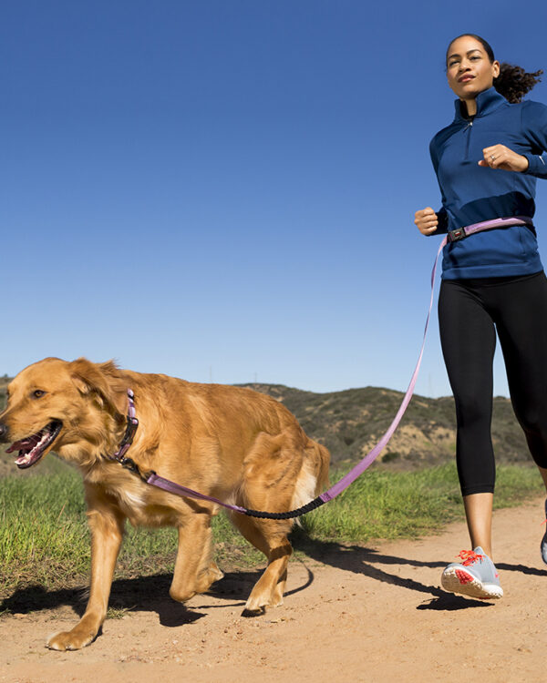 Halti Active Leash Large 6.8ft - Image 4