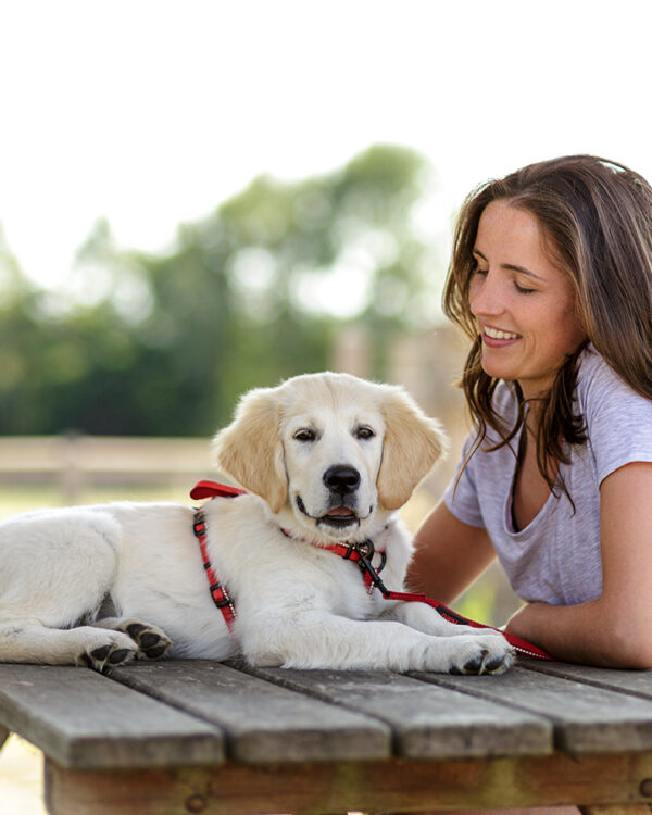 Walking Harness Medium 19-26in - Image 2
