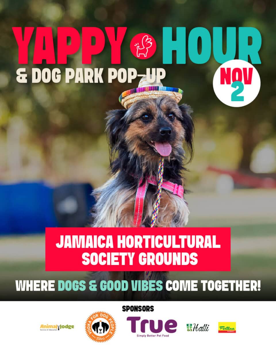 Yappy Hour Ticket Nov 2 - Image 3