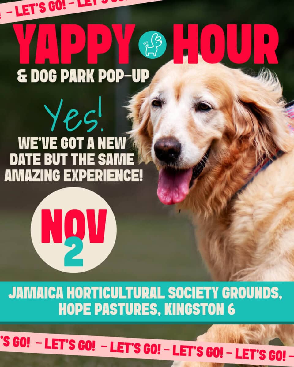 Yappy Hour Ticket Nov 2